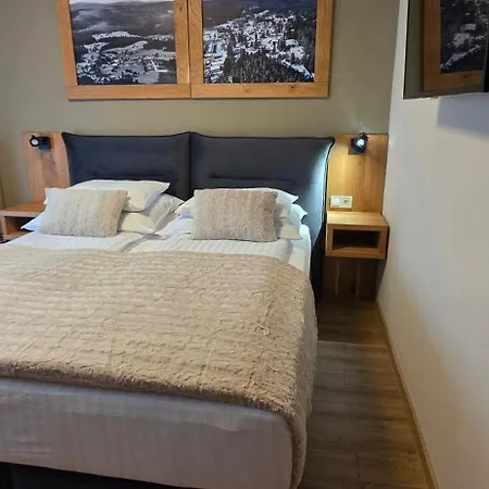 Apartament Spacir 3 Harrachov