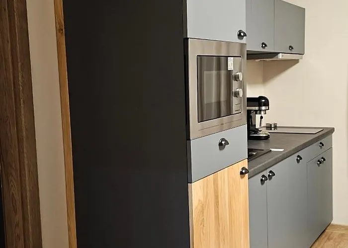 Apartment Spacir 3 *