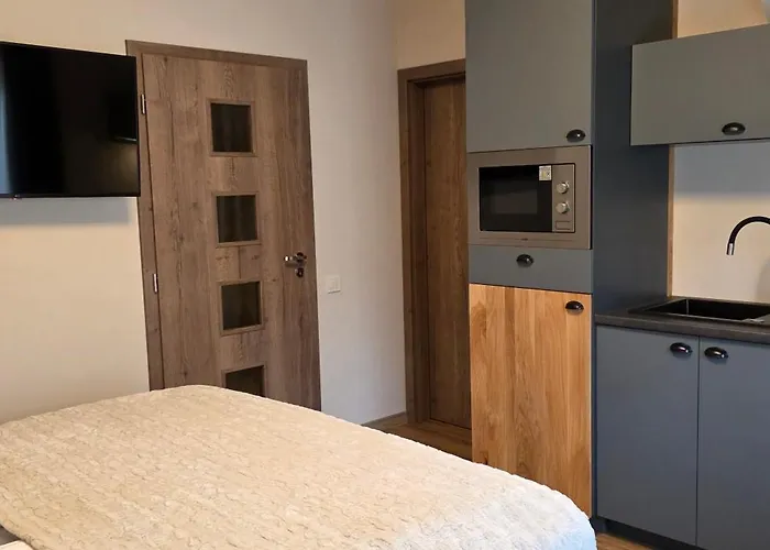 špacír 3 Appartamento Harrachov