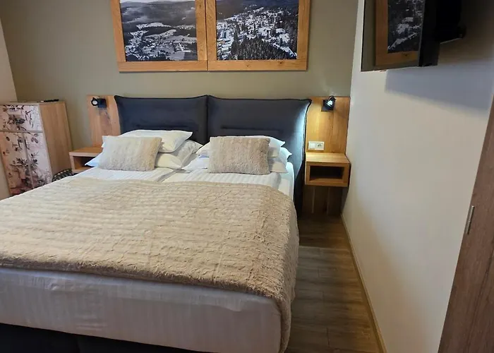 Apartment Spacir 3 Harrachov